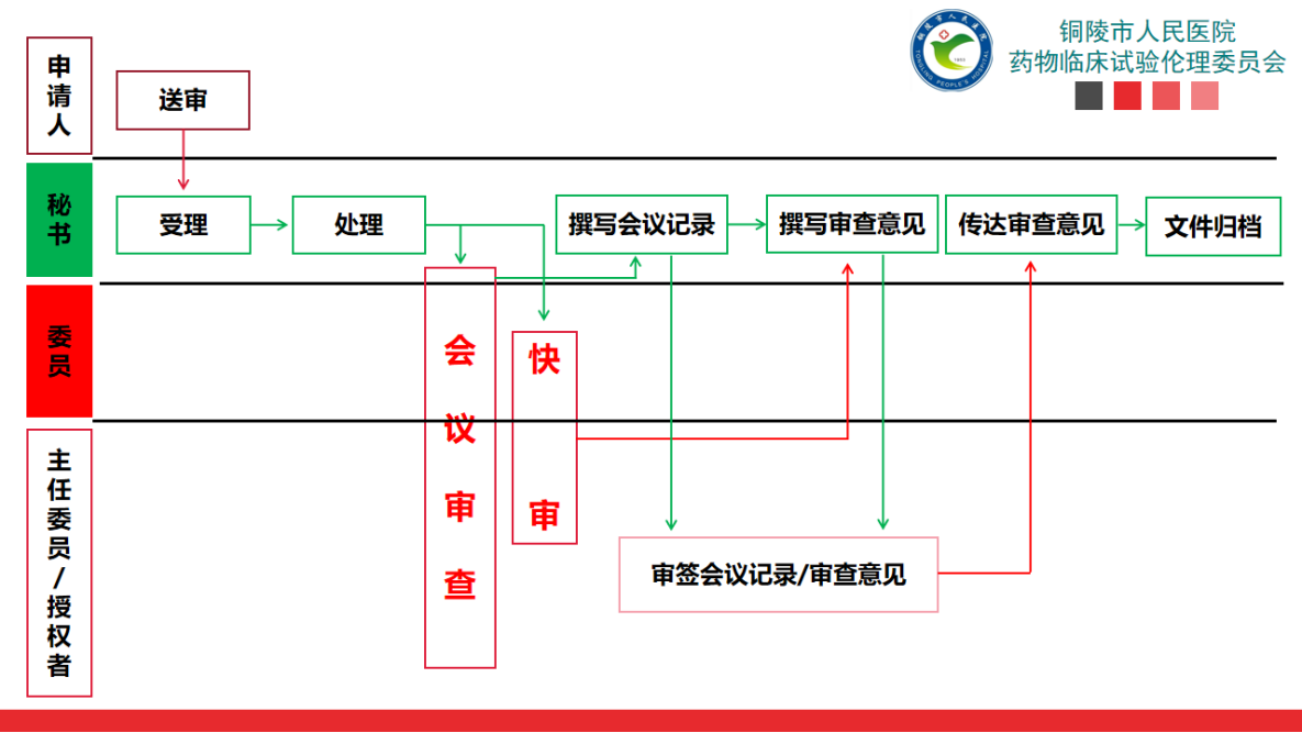 伦理审查流程图.png